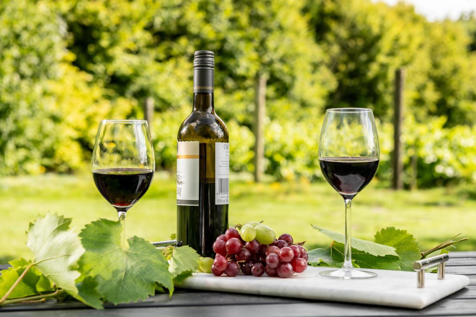 Villa Downwood Vineyard Manor In Idyllic Countryside Blandford Forum Exterior foto